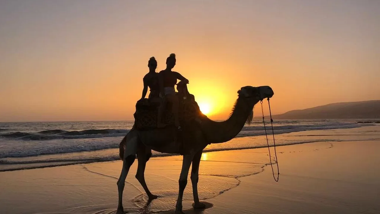 Sunset Camel Ride + BBQ Dinner - photo 10