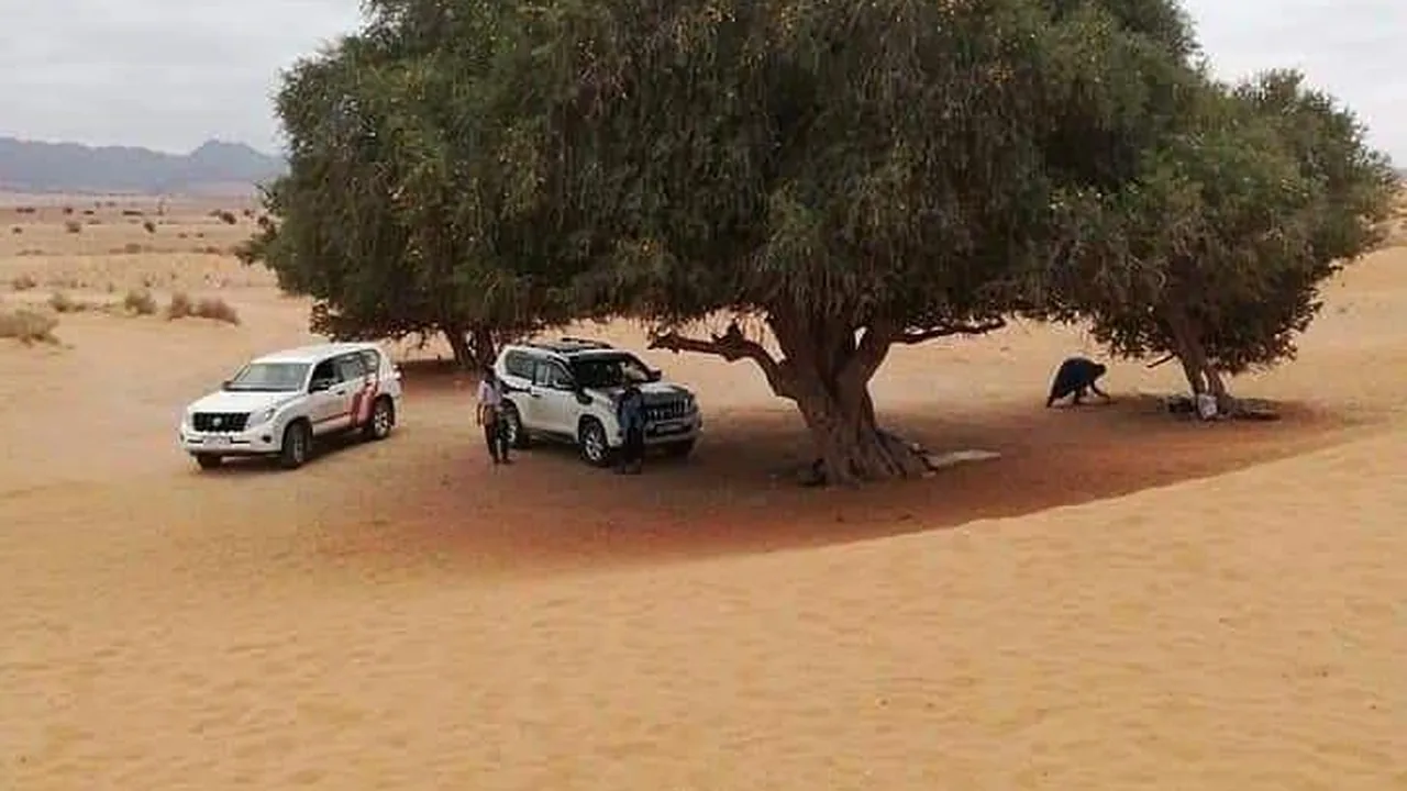 رحلة يوم إلى الحديقة الوطنية ماسة وتيزنيت