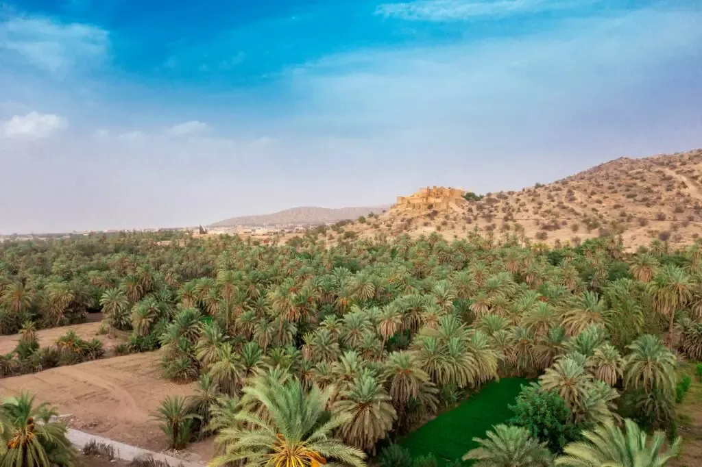 واحة تيوت تارودانت المغرب