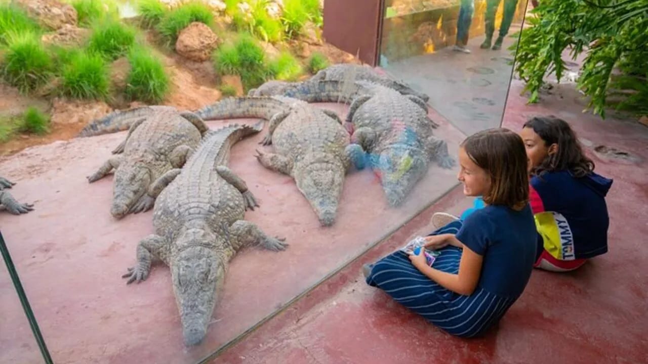 Crocoparc + Goats in the Argan Trees Tour