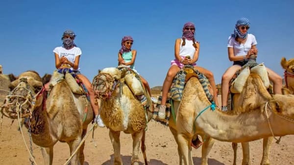 Sunset Camel Ride + BBQ Dinner - photo 2