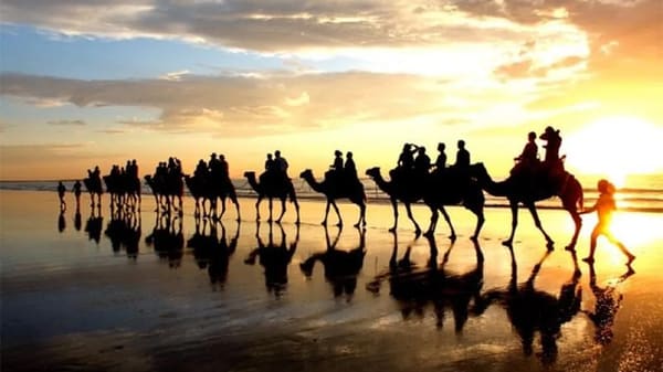 Sunset Camel Ride + BBQ Dinner - photo 3
