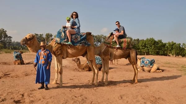 Sunset Camel Ride + BBQ Dinner - photo 4