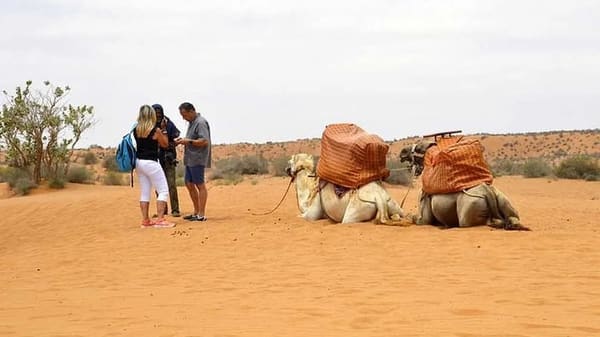 Massa National Park & Tiznit Day Trip from Agadir - photo 3