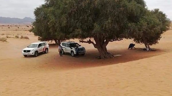 Park Narodowy Massa i Tiznit — wycieczka jednodniowa z Agadir