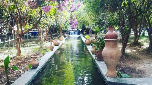 Taroudant & Tiout Oasis Day Trip from Agadir