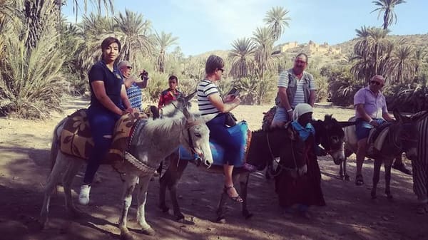 Taroudant & Tiout Oasis Day Trip from Agadir - photo 4