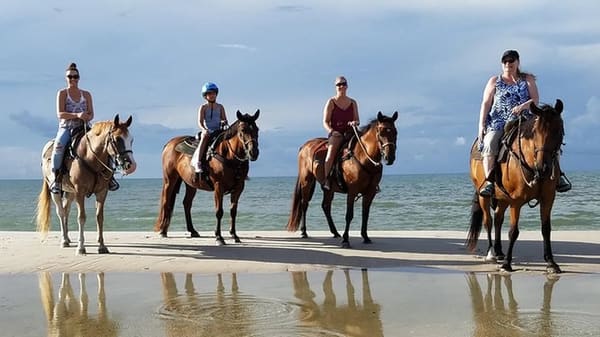 Horse Ride in Agadir