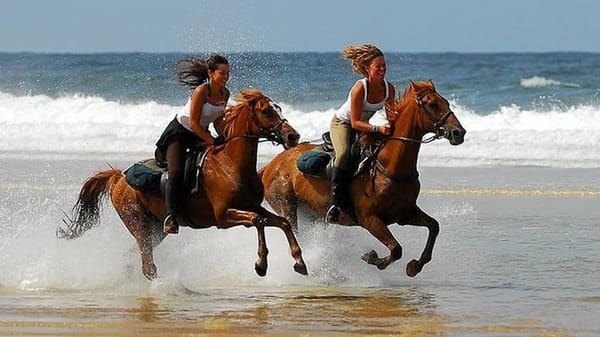 Horse Ride in Agadir - photo 2