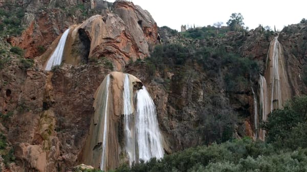 Imouzzer Waterfalls Day Trip from Agadir - photo 4