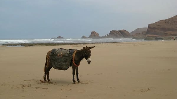Legzira Beach & Tiznit Day Trip from Agadir - photo 4