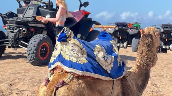 Quad Bike Tours in Agadir